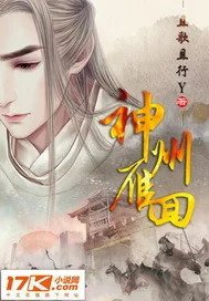 《神州雁回》小说封面