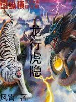 《龙行虎隐》小说封面