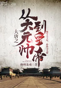 《大唐之从大元帅到皇帝》小说封面