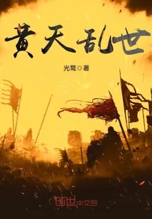 《黄天乱世》小说封面