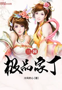 《三国极品家丁》小说封面