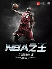 《NBA之王》小说封面