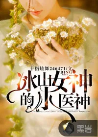 《冰山女神的小医神》小说封面