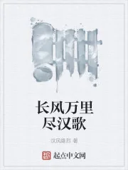 《长风万里尽汉歌》小说封面