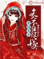 《宰相有令：夫人不准改嫁》小说封面