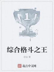 《综合格斗之王》小说封面