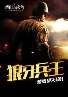 《狼牙兵王》小说封面