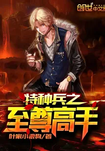 《特种兵之至尊高手》小说封面