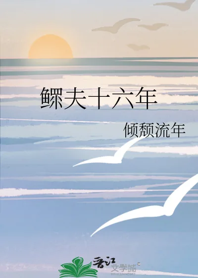 《鳏夫十六年》小说封面