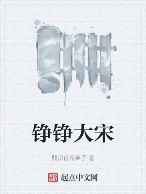《铮铮大宋》小说封面
