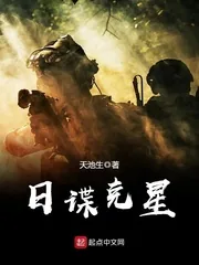 《日谍克星》小说封面