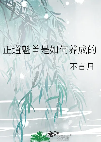 《正道魁首是如何养成的》小说封面