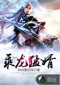 《乘龙猛婿》小说封面