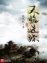 《天脉谜踪》小说封面