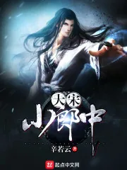 《大宋小郎中》小说封面