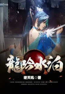 《龙吟水泊》小说封面