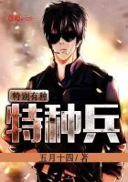 《特种兵之特别有种》小说封面