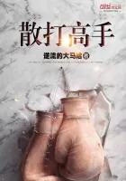 《散打高手》小说封面