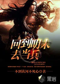 《回到明末去当兵》小说封面