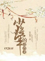 《少将军的清冷妻》小说封面