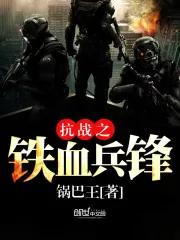 《抗战之铁血兵锋》小说封面