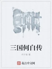 《三国志之大白天下》小说封面