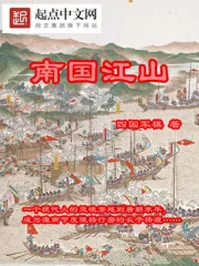 《南国江山》小说封面