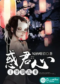 《惑君心：王爷别乱来》小说封面