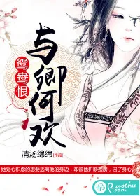 《鸳鸯恨：与卿何欢》小说封面