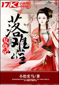 《落难公主复仇记》小说封面