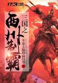 《大汉第三帝国》小说封面