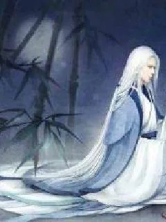 《帝谋之君还记》小说封面