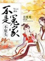 《不是冤家不聚头》小说封面
