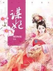 《谋妃》小说封面