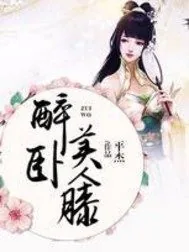 《醉卧美人膝》小说封面