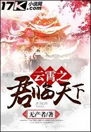 《云霄之君临天下》小说封面