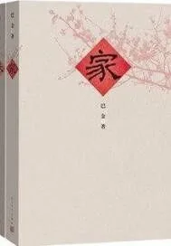 《家》小说封面