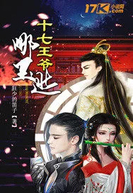 《十七王爷哪里逃》小说封面