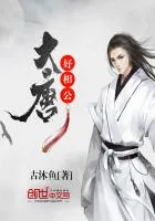 《大唐好相公》小说封面