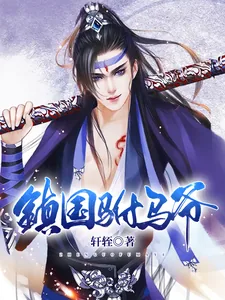《镇国驸马爷》小说封面