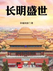 《长明盛世》小说封面