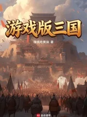 《游戏版三国》小说封面