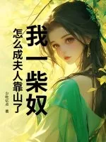 《我一柴奴，怎么成夫人靠山了？》小说封面