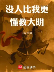 《没人比我更懂救大明》小说封面