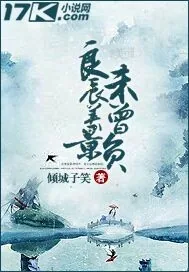 《良辰美景未曾负》小说封面