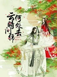 《云时问锦何处去》小说封面