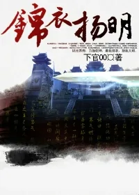 《锦衣扬明》小说封面