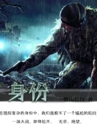 《身份》小说封面