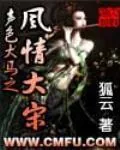 《声色犬马之风情大宋》小说封面