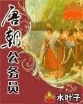 《唐朝公务员》小说封面